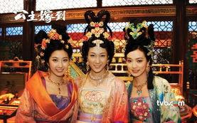 公主嫁到全集国语版在线观看,宫廷爱情传奇，浪漫邂逅再现！